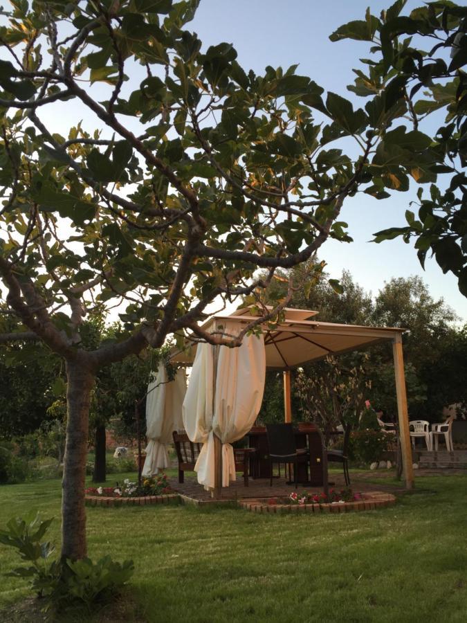 B&B Villa Magna Grecia 拉扎罗 外观 照片