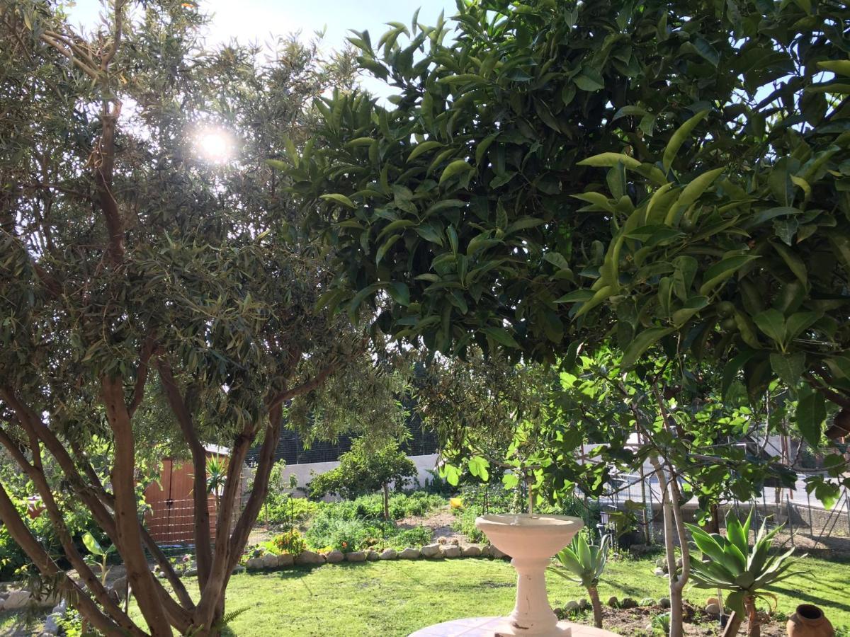 B&B Villa Magna Grecia 拉扎罗 外观 照片